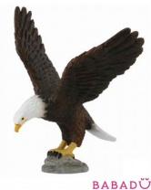 Американский лысый орел M Collecta (Коллекта)