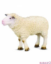 Овца M Collecta (Коллекта)
