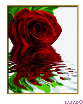 Раскраска по номерам 40х50 Красная роза Schipper (Шиппер)