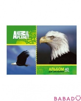 Альбом для рисования Animal Planet на гребне 40л 2 Action! в асс.