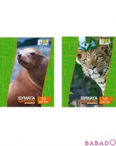Цветная мелованная бумага Animal Planet А4 10л 10цв Action! в асс.