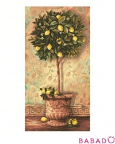 Раскраска по номерам 40х80 Лимонное дерево Schipper (Шиппер)