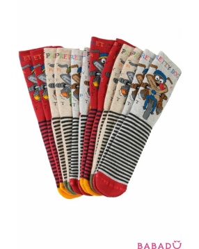 Комплект детских махровых носков для мальчиков 6 пар Pretty Dog Bross (Бросс)